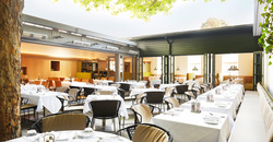 Restaurant im Freien mit weißen Tischtüchern unter einem Laubbaum und natürlichem Licht.